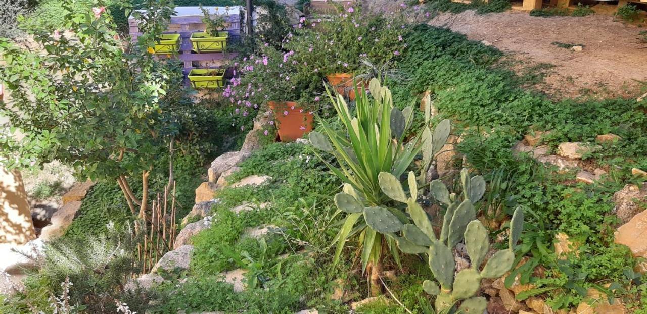 Il Moro Di Sicilia Apartment テルミニ・イメレーゼ エクステリア 写真